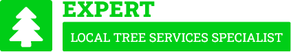 Wairoa Tree Removal - Tree Removal Wairoa